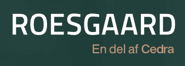 Roesgaard & Partners logo