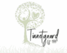 Tinnetgaard Bo- og Erhvervsskole ApS logo